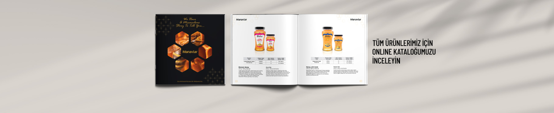 Katalog