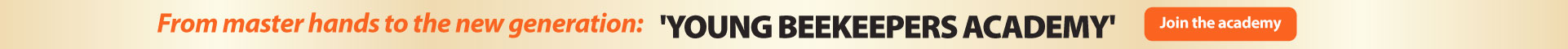 Young Beekeepers Academy