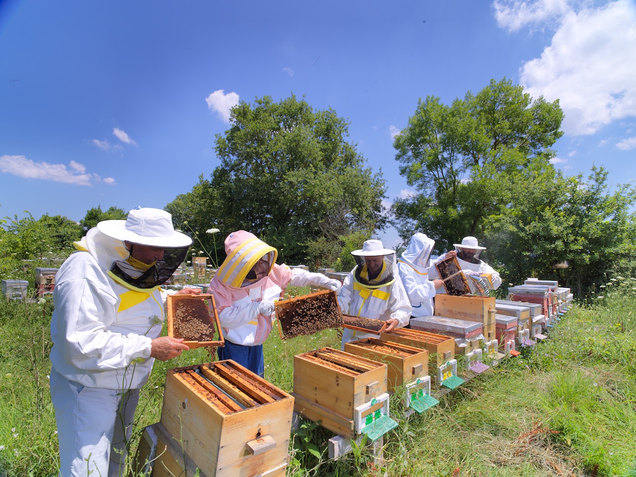 Young Beekeepers Academy